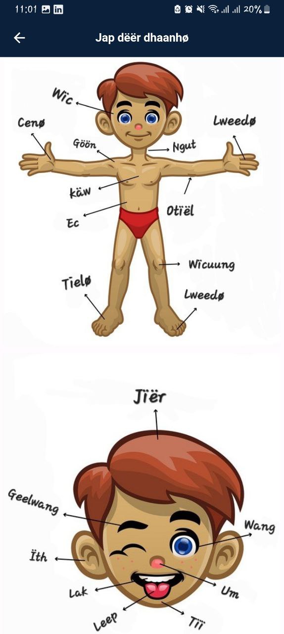 body parts in dha anywaa